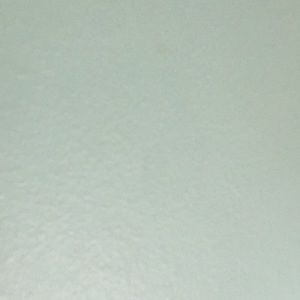 Meet your Posher, Lee